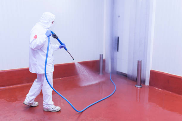 Paint Preparation in Cressona, PA
