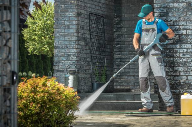 Solar Panel Cleaning in Cressona, PA
